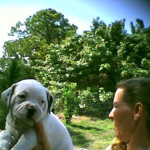 Meet your Posher, Peggy